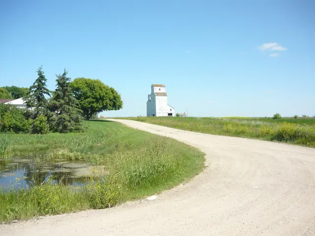 Grain elevator at the end of a gravel road, Peterson